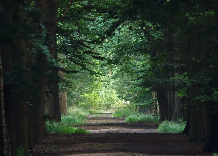 T Kaatsheuveltje 1 *